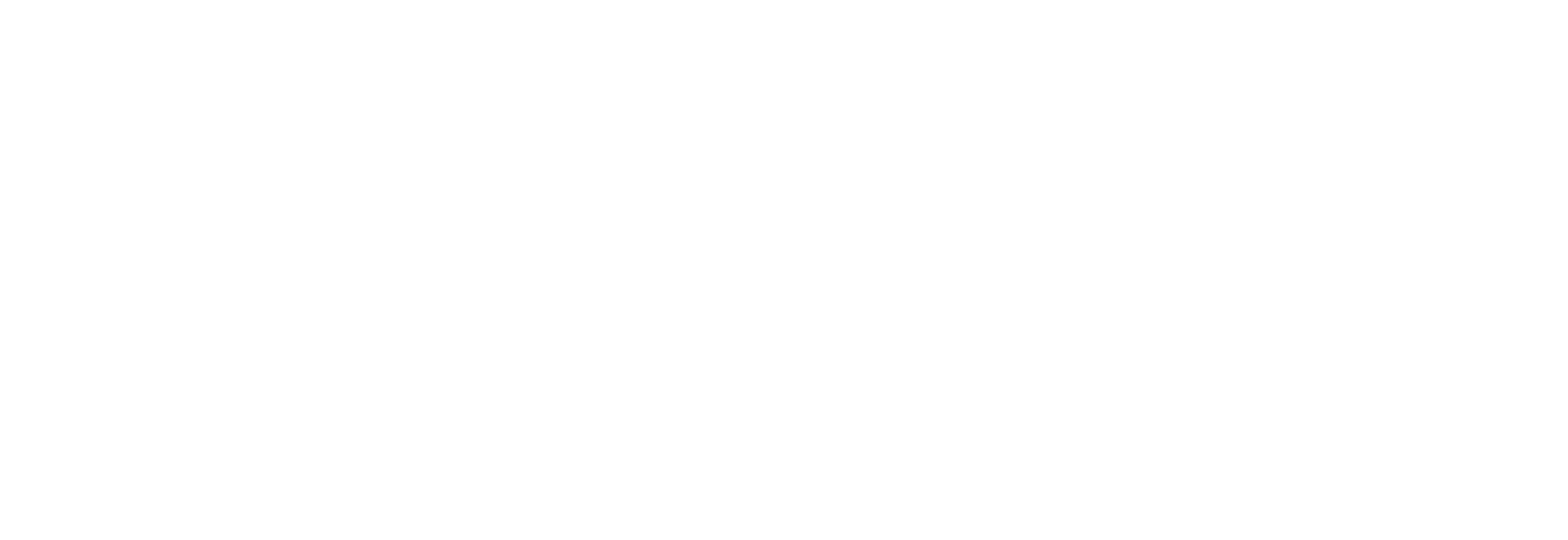 logo Paola Serena in bianco
